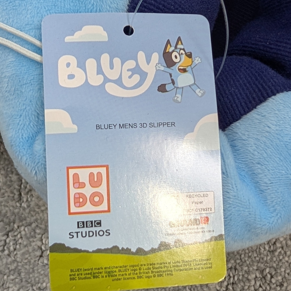 Bluey Men's 3D Slippers - Picture 5 of 5